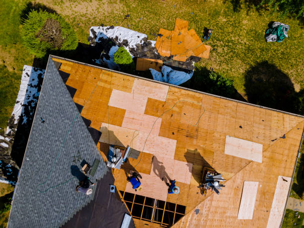 Best Roof Gutter Cleaning  in Camp Croft, SC